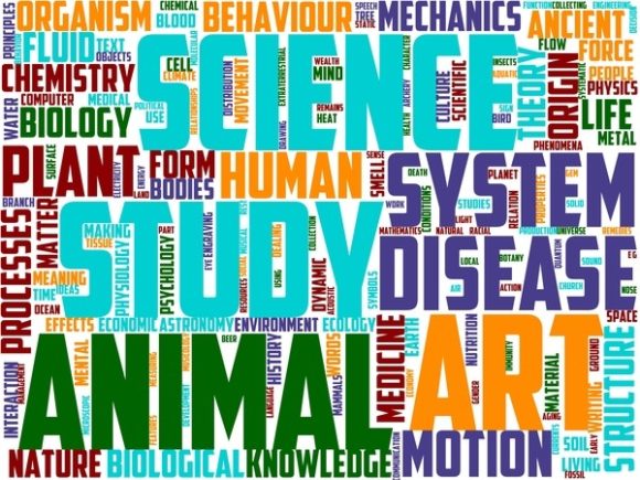 Cyclonology Wordart Banner