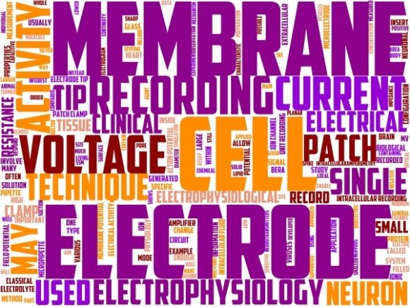 Electrophysiology Wordart Sublimation: A Distinctive Design Resource for Science-Inspired Creativity