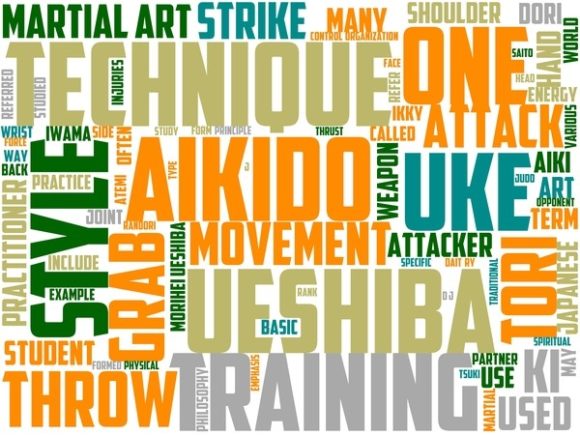 Hapkido Wordart Banner