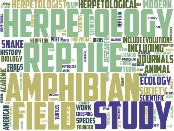 Herpetology Wordart Sticker: A Vibrant, Versatile Design Tool for Crafters and Creators