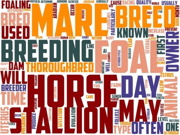 Horse Breeder Wordart Skinny Tumbler