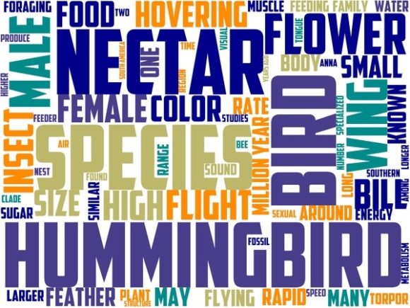 Hummingbird Peak Wordart Crafting: Your Secret Weapon for Vibrant, Hand-Drawn Word Clouds