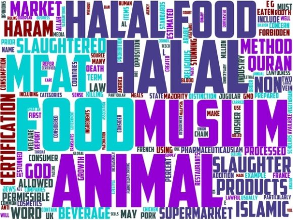 Unlock Creative Versatility with Hala Wordart Book Cover: A Hand-Drawn Wordcloud for Modern Makers